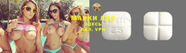 дмт Вяземский