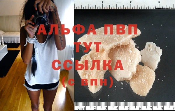 стафф Вязьма