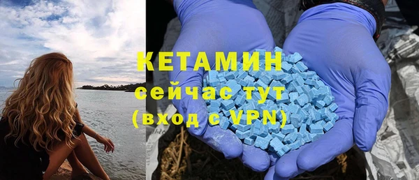 дмт Вяземский