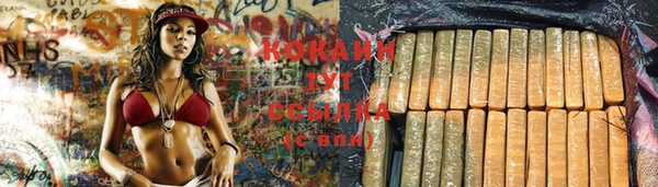 дмт Вяземский