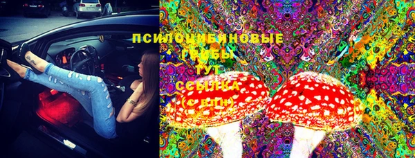 стафф Вязьма