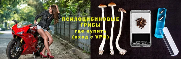 стафф Вязьма