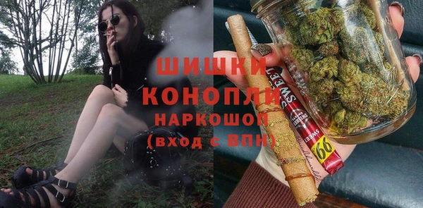 стафф Вязьма