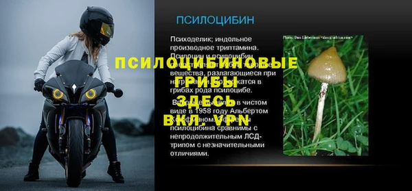 стафф Вязьма