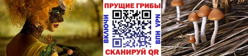 Псилоцибиновые грибы ЛСД  гидра ссылка  Камешково 