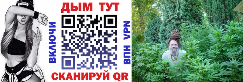 Бошки Шишки сатива  закладка  Камешково 